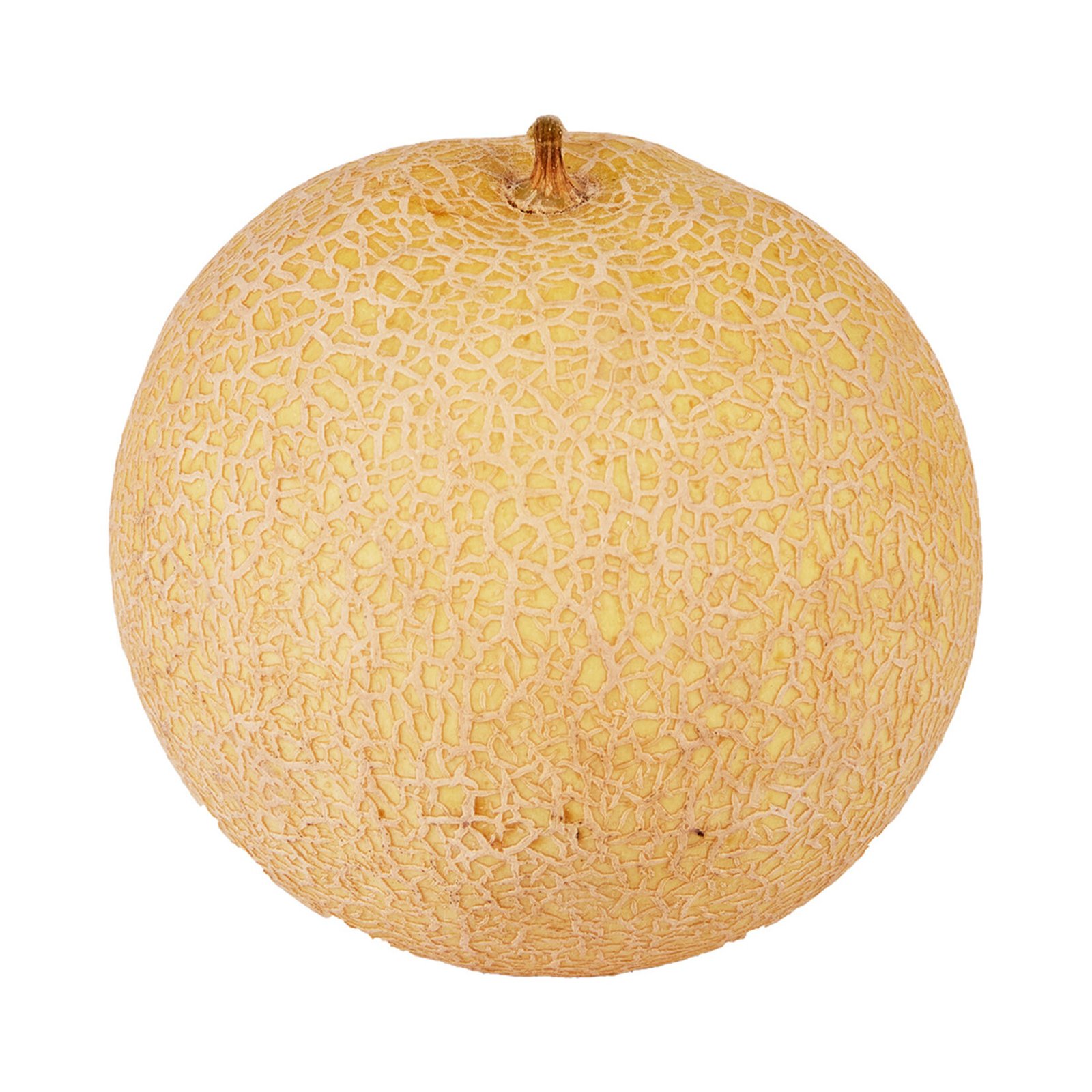 Kavun
